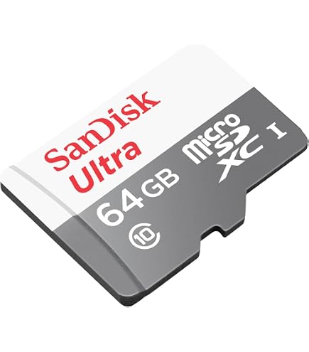 Amazon | SanDisk 64GB 2枚パック microSDXCカード Nintendo Switch